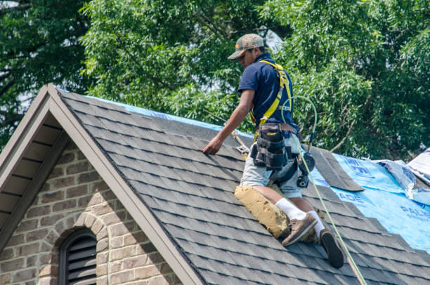 Quick and Trustworthy Emergency Roof Repair Services in Upper Lake, CA